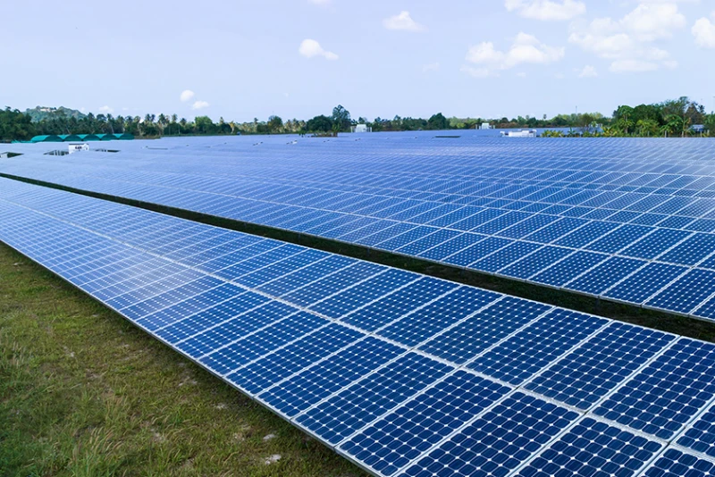 Monthly Monitor January