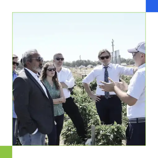 Farmers Learning in Field