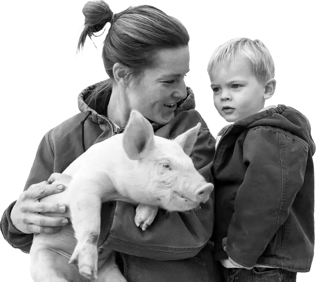 Pig Farming Family
